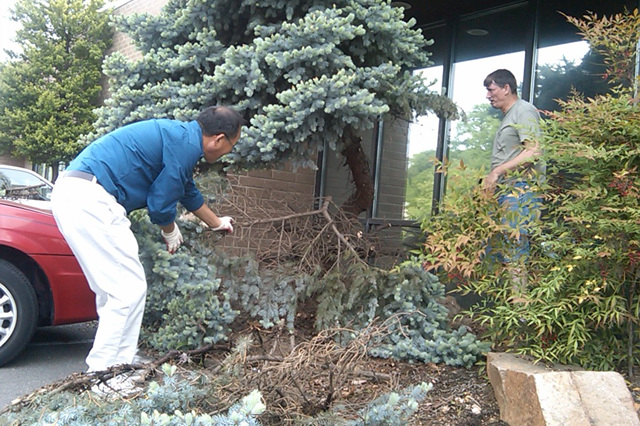 Va Spring Cleaning 09 14.jpg